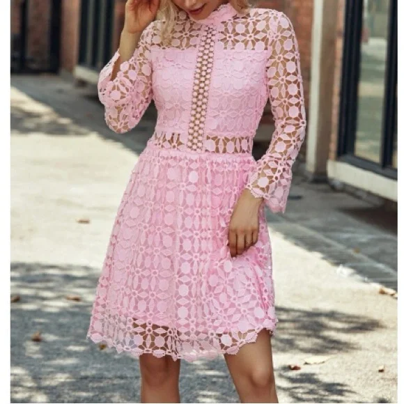 Luxurious mesh insert lace dress